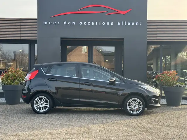 Ford Fiesta 1.0 EcoBoost 100pk Titanium 2014 Benzine 5