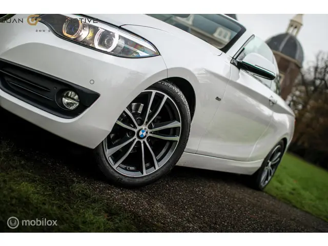 BMW 2 Serie Cabrio | 2018 Benzine 10