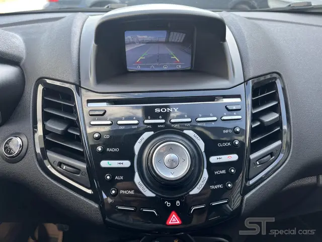 Ford Fiesta 1.6 ST200 2016 Benzine 17