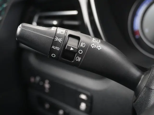 Kia e-Niro Edition 64 kWh 2021 Elektrisch 25