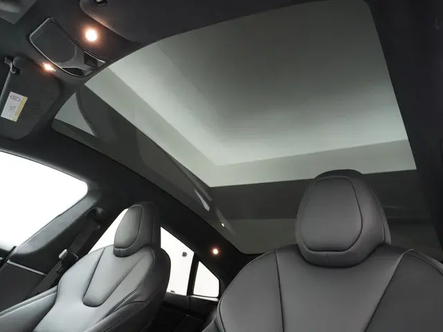 Tesla Model S Long Range RAVEN 2020 Elektrisch 19