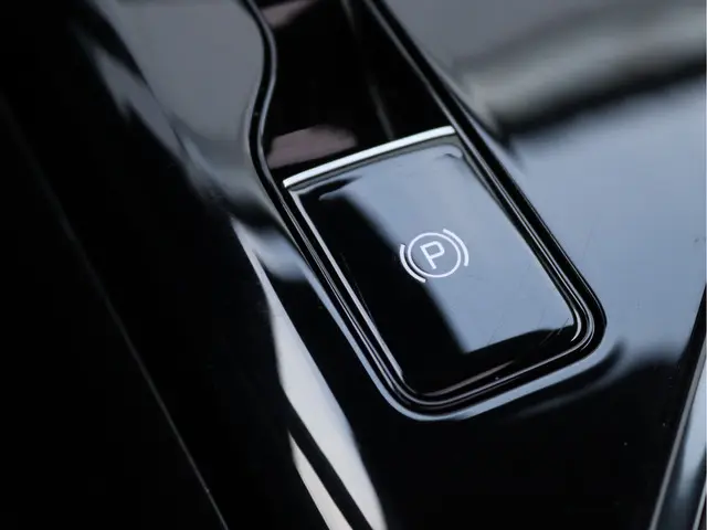 Kia Niro EV ExecutiveLine 64.8 kWh 2022 Elektrisch 78