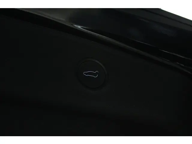 Tesla Model 3 RWD 2022 Elektrisch 24