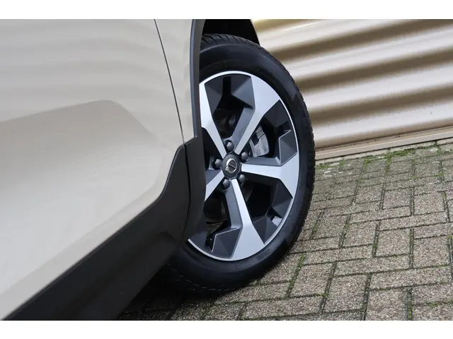 Volvo XC40 B4 Plus Dark 2025 Benzine 41