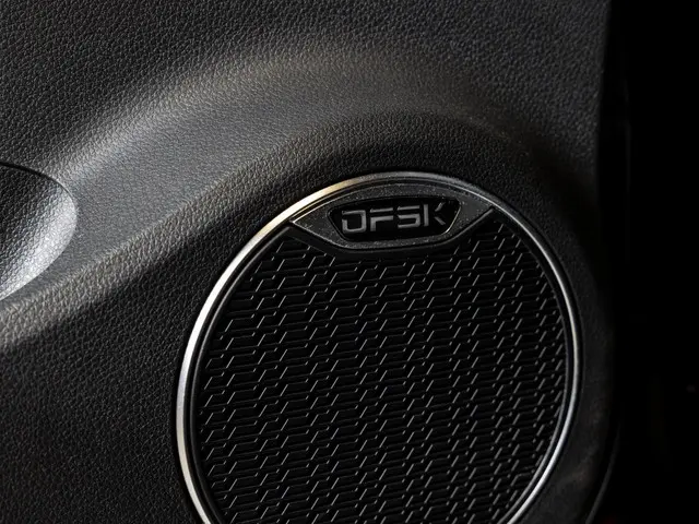 Seres 3 52kWh / 163pk / Panorama dak / Leder / 2021 Elektrisch 15