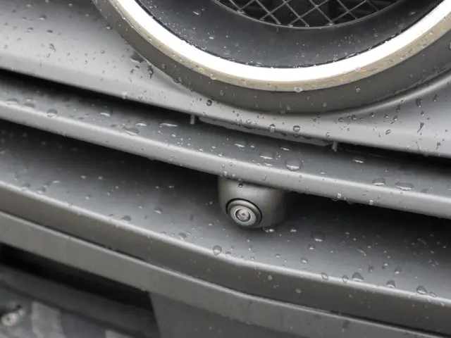 Mercedes-Benz Sprinter 317 CDI L4 XXL AUT. 2024 Diesel 20