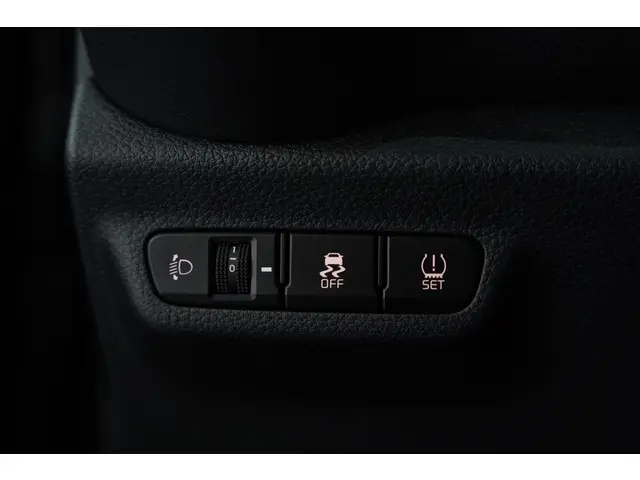 Kia Picanto 1.0 CVVT EconomyPlusLine 2019 Benzine 15