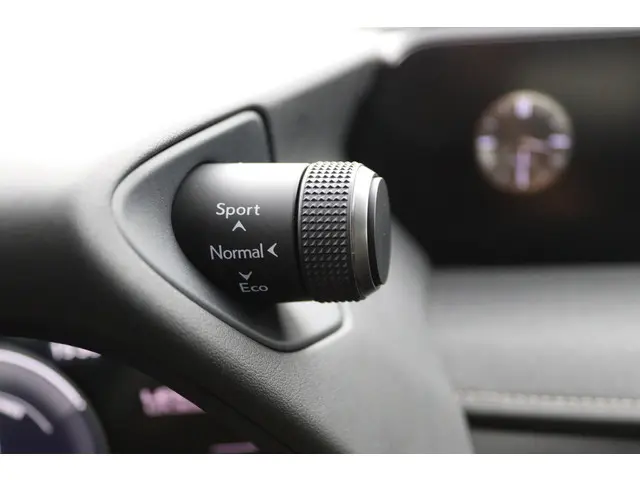 Lexus UX 300e Business 54 kWh 2020 Elektrisch 40