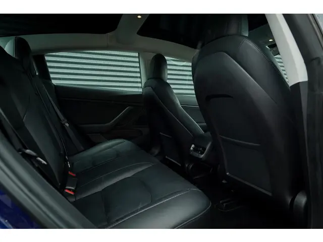 Tesla Model 3 Standard RWD Plus 60 kWh 2019 Elektrisch 8