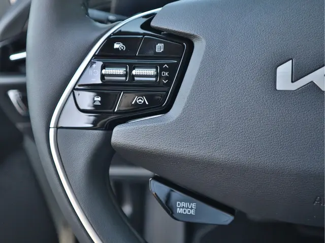 Kia Niro EV Edition Advanced 64.8 kWh 2024 Elektrisch 15