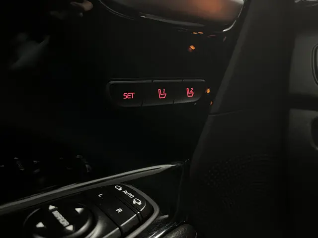 Kia e-Niro ExecutiveLine 64 kWh 2020 Elektrisch 36