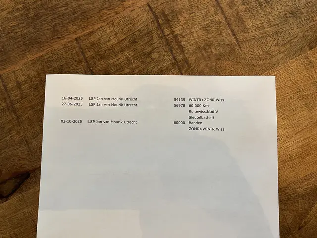 Kia e-Niro ExecutiveLine 64 kWh 2020 Elektrisch 46