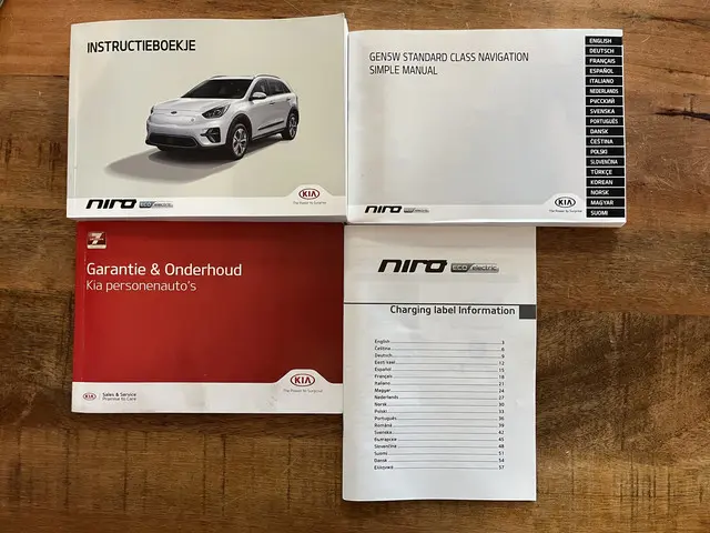 Kia e-Niro DynamicPlusLine 64 kWh 2021 Elektrisch 40