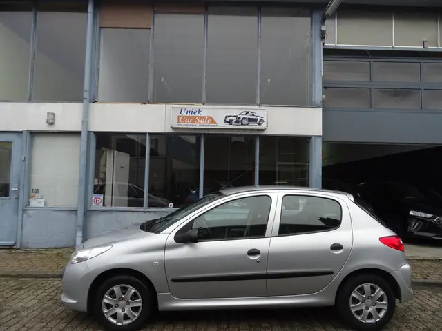 Peugeot 206 2