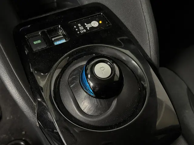Nissan Leaf Tekna 40 kWh 2022 Elektrisch 20