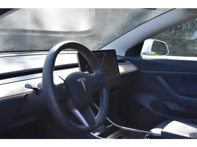 Tesla Model 3 Standard RWD Plus 60 kWh 2020 Elektrisch 6