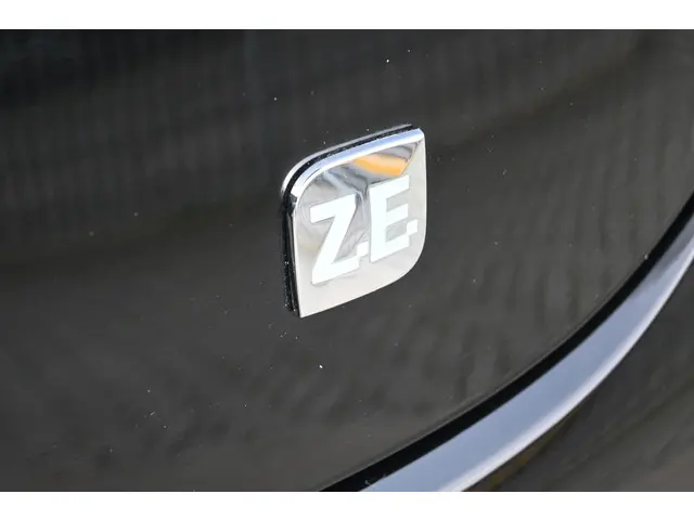 Renault ZOE Q210 Zen Quickcharge 22 kWh 2014 Elektrisch 9