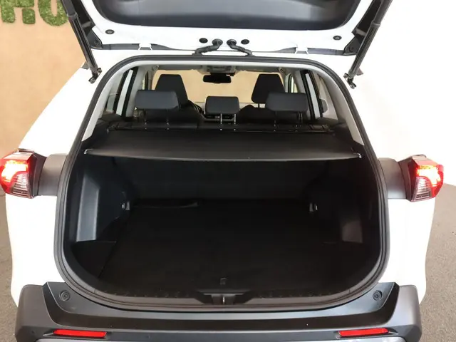 Toyota RAV4 2.5 Hybrid Dynamic 2021 Hybride Benzine 10