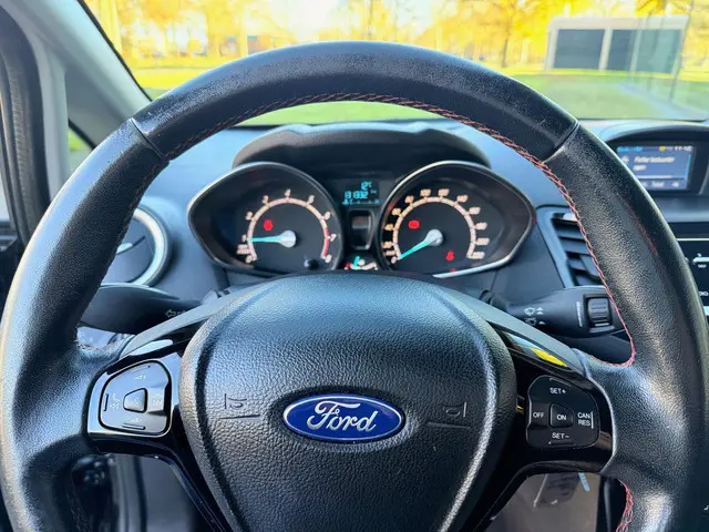 Ford Fiesta 1.0 EcoBoost Red/Black Edition ST 2014 Benzine 5
