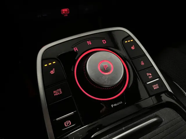 Kia e-Niro DynamicLine 64 kWh 2020 Elektrisch 10