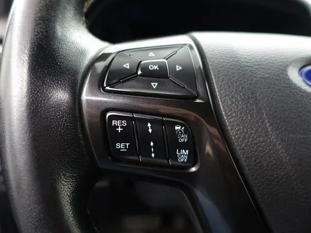 Ford Ranger 2.0 EcoBlue 4X4 Wildtrak Aut- 2020 Diesel 19