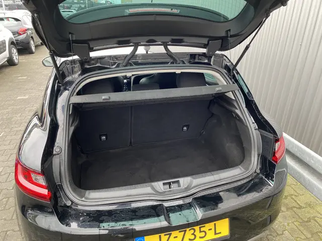 Renault Mégane 1.2 TCe GT-Line 2016 Benzine 13