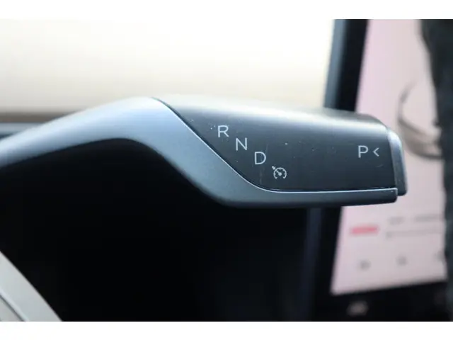 Tesla Model 3 Standard RWD Plus 60 kWh 2021 Elektrisch 30