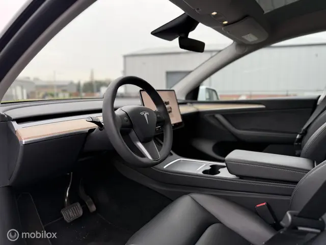 Tesla Model Y RWD 58 kWh 2022 Elektrisch 12