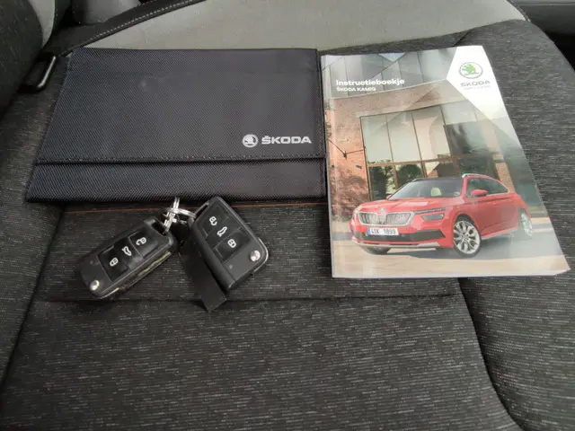 Škoda Kamiq 1.0 TSI Business Edition 2021 Benzine 24