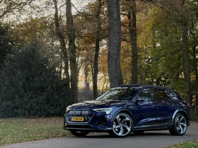 Audi e-tron S quattro 95 kWh 2021 Elektrisch 8
