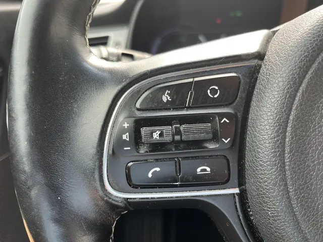 Kia e-Niro ExecutiveLine 64 kWh 2019 Elektrisch 40