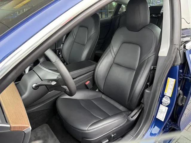 Tesla Model 3 Standard RWD Plus 60 kWh 2020 Elektrisch 12