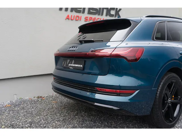 Audi e-tron 50 Quattro 2020 Elektrisch 19