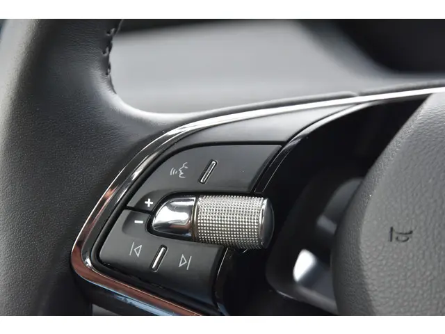 Škoda Enyaq iV 60 2022 Elektrisch 14