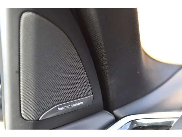 BMW X5 xDrive40i High Executive 2019 Benzine 37