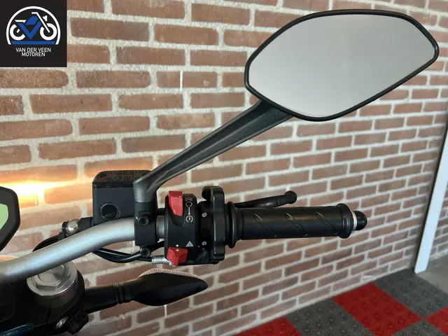 Ducati Monster 797 ABS 2018 Benzine 11