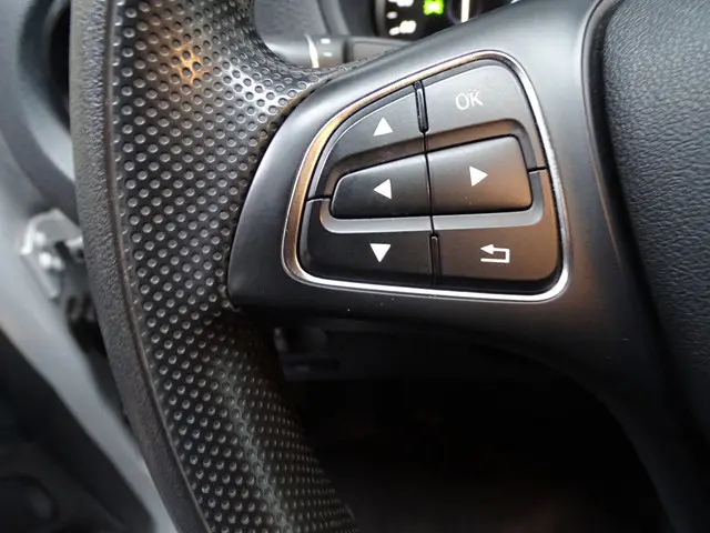 Mercedes-Benz Vito 116 CDI Extra Lang 2022 Diesel 11