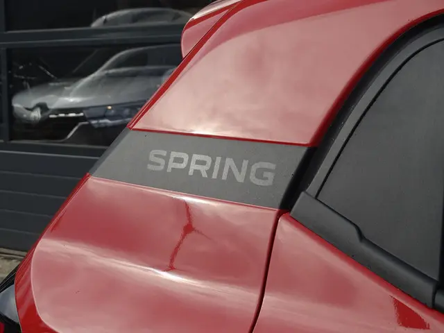 Dacia Spring Extreme 65 26.8 kWh 2024 Elektrisch 27