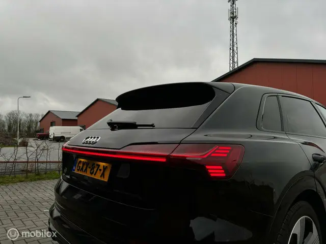 Audi e-tron 55 quattro S edition 95 kWh 2021 Elektrisch 30