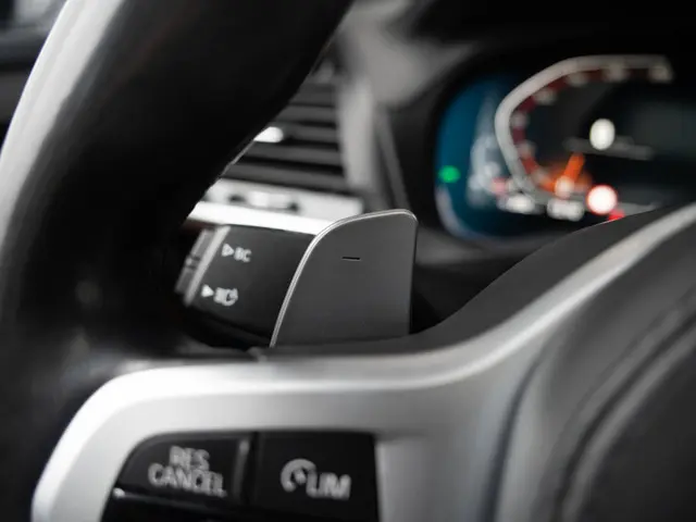 BMW X3 xDrive20i 2020 Benzine 32