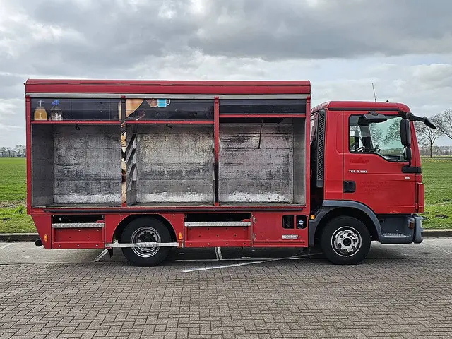 MAN TGL 8.180 2014 Diesel 13