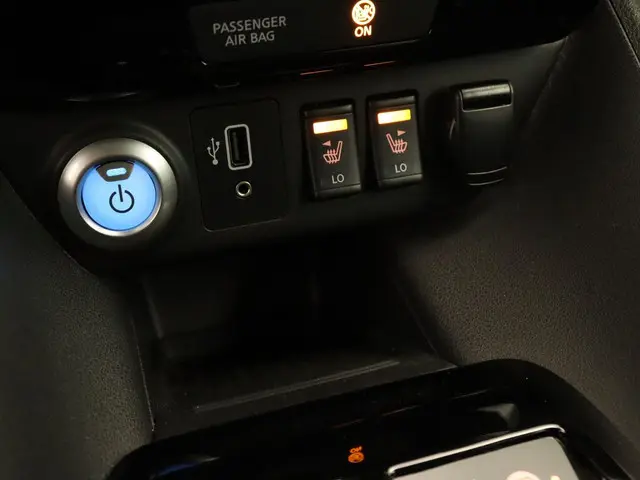 Nissan Leaf e+ Tekna 62 kWh 2019 Elektrisch 41