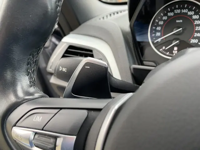 BMW 2 Serie Cabrio 220i M-Sport Leer 2016 Benzine 12