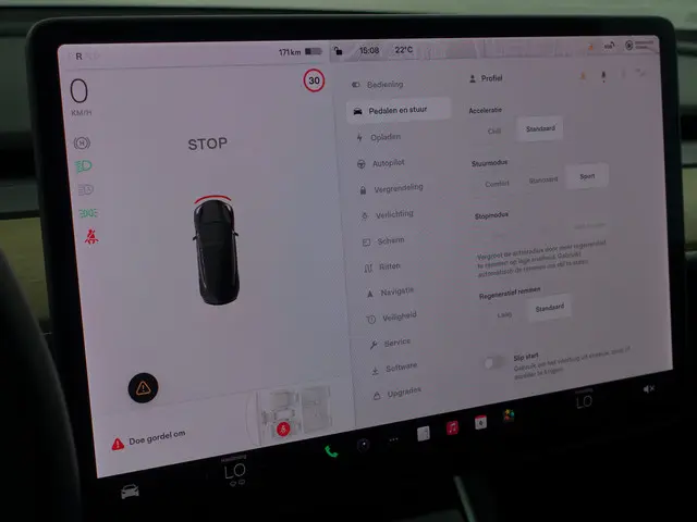 Tesla Model 3 Long Range AWD 75 kWh- 2019 Elektrisch 10