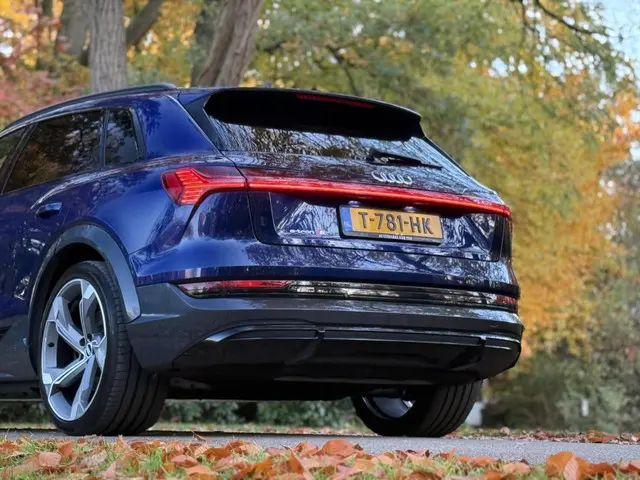 Audi e-tron S quattro 95 kWh 2021 Elektrisch 69