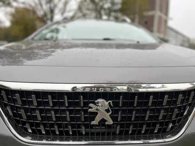 Peugeot 2008 1.2 PureTech Blue Lion 2016 Benzine 13