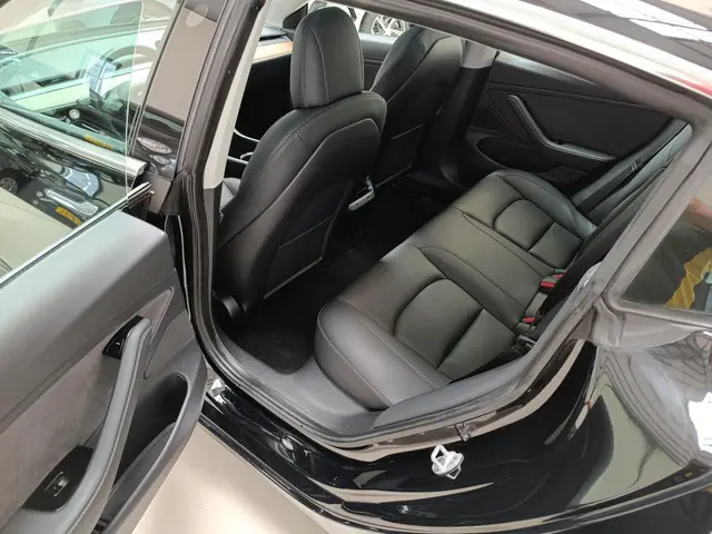 Tesla Model 3 Performance AWD 75 kWh 2020 Elektrisch 6