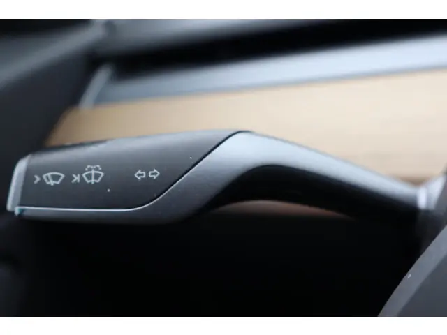 Tesla Model 3 Long Range AWD 75 kWh 2019 Elektrisch 24