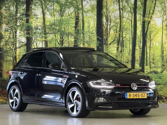 Volkswagen Polo 2.0 TSI GTI 2019 Benzine 3