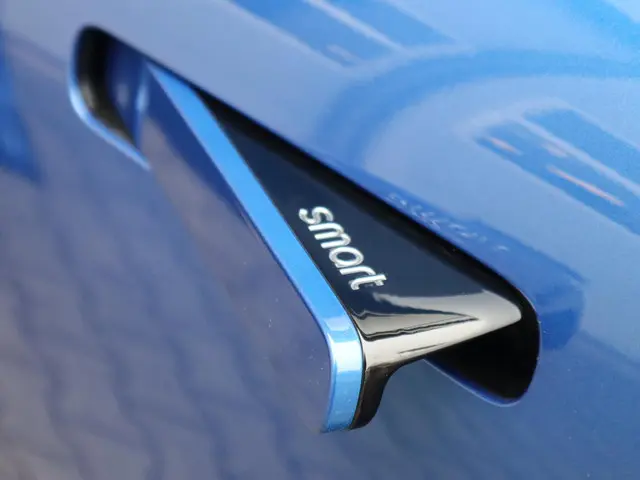 Smart #3 Premium 66 kWh 2025 Elektrisch 8